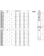 Giluminis vandens siurblys Pedrollo 3SR2/10, 400 V