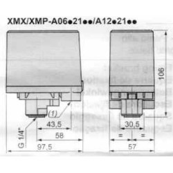 Slėgio relė Telemecanique XMP 230V IP54 1-6 bar