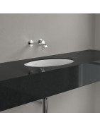 Praustuvas Villeroy&Boch Evana, 500x350 mm, be angos maišytuvui