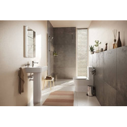 Praustuvas-dubuo Hansgrohe Xanuia Q, 550x370x105 mm, su anga maišytuvui