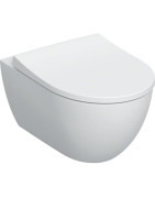 Pakabinamas unitazas Geberit Aniara, TurboFlush, Rimfree, su dangčiu