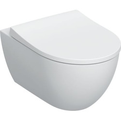 Pakabinamas unitazas Geberit Aniara, TurboFlush, Rimfree, su dangčiu