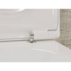 Pakabinamas unitazas Hansgrohe EluPura S, AquaFall Flush, HygieneEffect, su dangčiu SoftClose