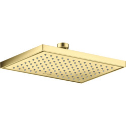 Dušo galva AXOR ShowerSolutions 245/185, 1 srovės, EcoSmart, šlifuoto žalvario spalvos (Brushed Brass)
