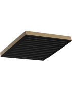 Dušo galva Hansgrohe Pulsify E 260, 1 srovės, šlifuotos bronzos spalvos (Brushed Bronze)
