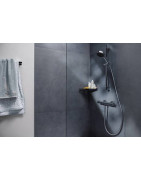 Termostatinis dušo maišytuvas Hansgrohe Ecostat Element, chromas