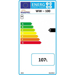Kombinuotas vandens šildytuvas Kospel WW-100 su GRW 2.0kW tenu