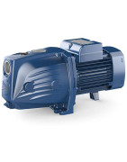 Vandens siurblys Pedrollo JSWm1AX-N (JSWm1AX)