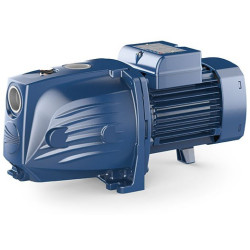 Vandens siurblys Pedrollo JSWm1AX-N (JSWm1AX)