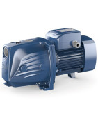 Vandens siurblys Pedrollo JSWm2CX-N (JSWm10MX)