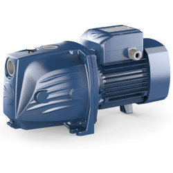 Vandens siurblys Pedrollo JSWm2CX-N (JSWm10MX)