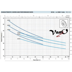 Vandens siurblys Pedrollo JSWm2CX-N (JSWm10MX)