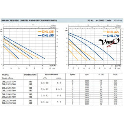 Cirkuliacinis siurblys Pedrollo DHL 25/70-180