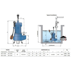 Fekalinis siurblys Pedrollo MCm 10/45