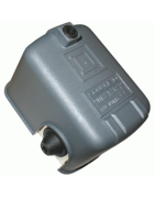 Slėgio relė su apsauga nuo sausos eigos FSG2J 4.6 bar