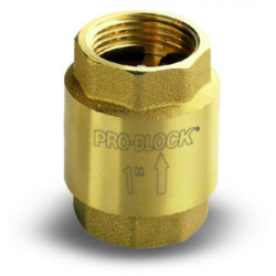 Atbulinis vožtuvas Pedrollo VR1 1"Fx1"F