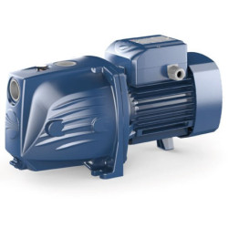 Sausai statomas horizontalus siurblys Pedrollo JSWm2AX 220V