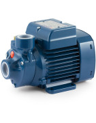 Sausai statomas horizontalus siurblys Pedrollo PKm65 220V