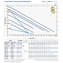 Sausai statomas horizontalus siurblys Pedrollo PKm90 220V