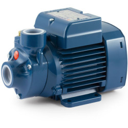 Sausai statomas horizontalus siurblys Pedrollo PKm100 220V