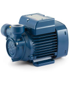 Sausai statomas horizontalus siurblys Pedrollo PQm100 220V