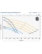 Siurblys su atviro tipo darbo ratu Pedrollo NGAm 1B 230V