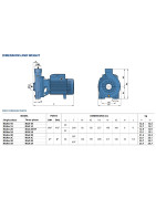 Siurblys su atviro tipo darbo ratu Pedrollo NGAm 1B 230V
