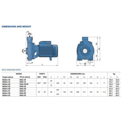 Siurblys su atviro tipo darbo ratu Pedrollo NGAm 1B 230V
