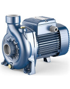 Siurblys su atviro tipo darbo ratu Pedrollo NGAm 1A 230V