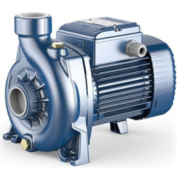 Siurblys su atviro tipo darbo ratu Pedrollo NGAm 1A 230V