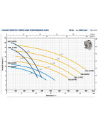 Siurblys su atviro tipo darbo ratu Pedrollo NGAm 1B-PRO 230V