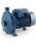 Sausai statomas horizontalus siurblys Pedrollo CP 230B 380V