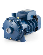 Dvipakopis siurblys Pedrollo 2CP 32/200C 380V