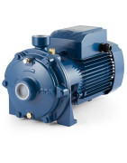 Dvipakopis siurblys Pedrollo 2CP 32/210B 380V