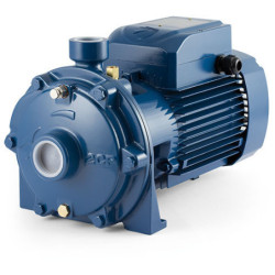 Dvipakopis siurblys Pedrollo 2CP 32/210B 380V