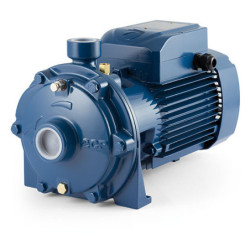 Dvipakopis siurblys Pedrollo 2CP 40/180C 380V