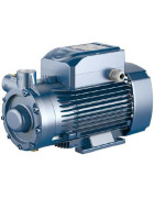 Sausai statomas horizontalus siurblys Pedrollo PQ3000 400V