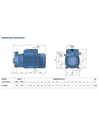 Sausai statomas horizontalus siurblys Pedrollo PQ3000 400V