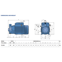 Sausai statomas horizontalus siurblys Pedrollo PQ3000 400V