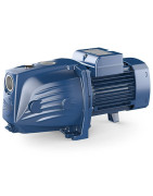 Sausai statomas horizontalus siurblys Pedrollo JSW1AX-N 400V