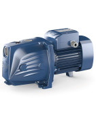 Sausai statomas horizontalus siurblys Pedrollo JSW2CX-N 400V