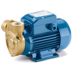 Sausai statomas horizontalus siurblys Pedrollo PQ81-Bs 380V