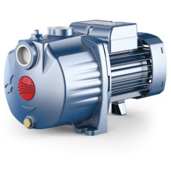 Dvipakopis siurblys Pedrollo 2CP 80-C 380V