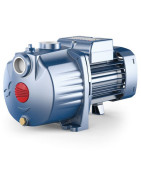 Daugiapakopis siurblys Pedrollo 4CPm 100 230V