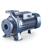 Konsolinis siurblys Pedrollo Fm 40/125B 220V