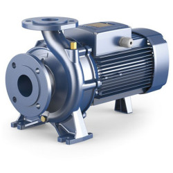 Konsolinis siurblys Pedrollo F 40/200A 380V