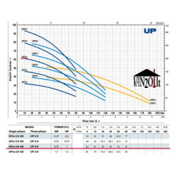 Giluminis vandens siurblys šuliniams Pedrollo UPm 2/4 GE