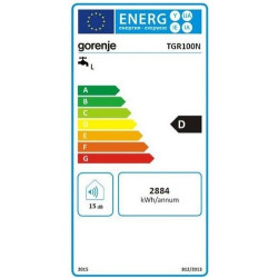 Elektrinis vandens šildytuvas Gorenje TGR 100 N