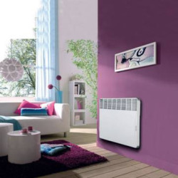 Elektrinis radiatorius Atlantic F117 DESIGN PLUG 1500W