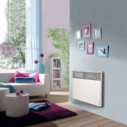 Elektrinis radiatorius Atlantic F117 DESIGN PLUG 1500W